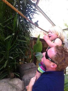 Why Daddy Rocks (why we all do) 2 daddy, father, good, daughter