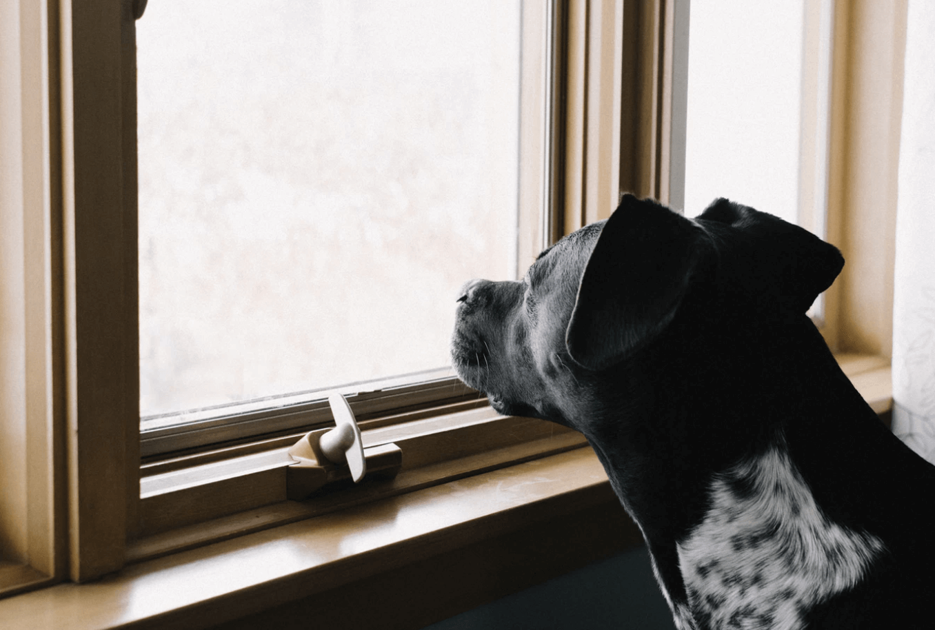 The lonely expat - loneliness in unexpected places 1 sad expat