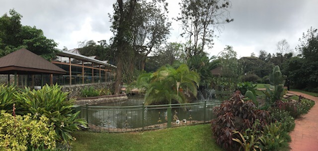 Family friendly lunch at Dari Restaurant 1 dari restaurant