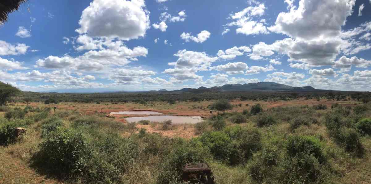 African safari: a family safari in Tsavo 5 serena hotel tsavo national park