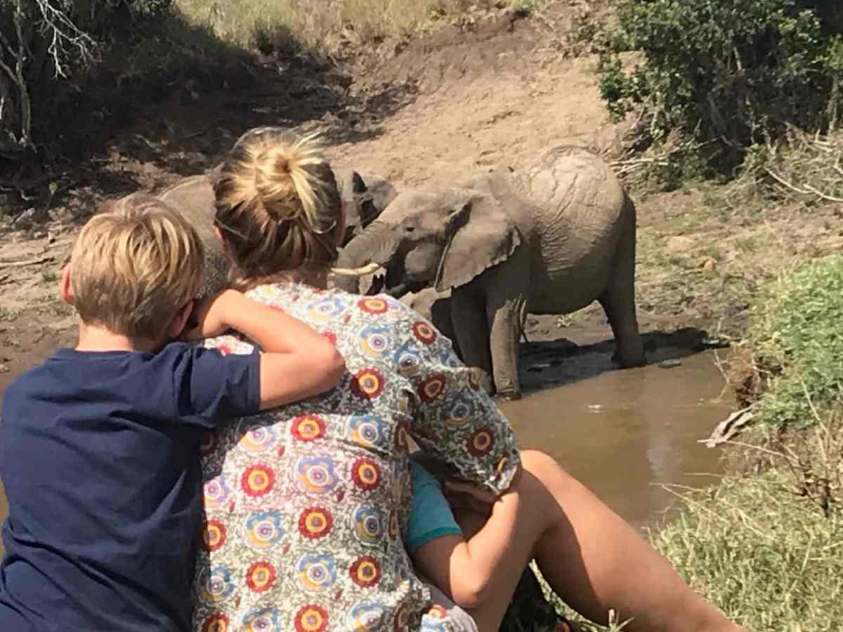 safari camping safari camping