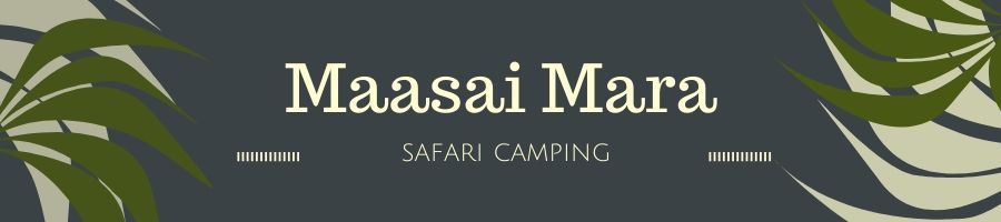 Safari camping in the African bush at Ol Pejeta 2 maasai mara safari camping