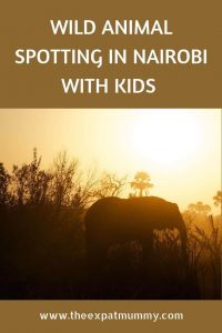 Wild Animal Spotting in Kenya with Kids 7 wild animal spotting in nairobi with kids