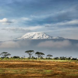 Moving to Kenya 2 kilimanjaro from the SGR train