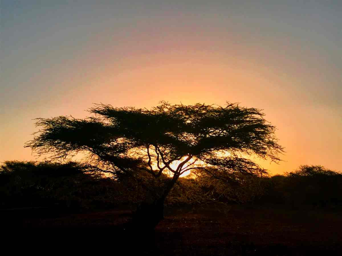 Camping at Lake Magadi 8 camping at lake magadi sunset