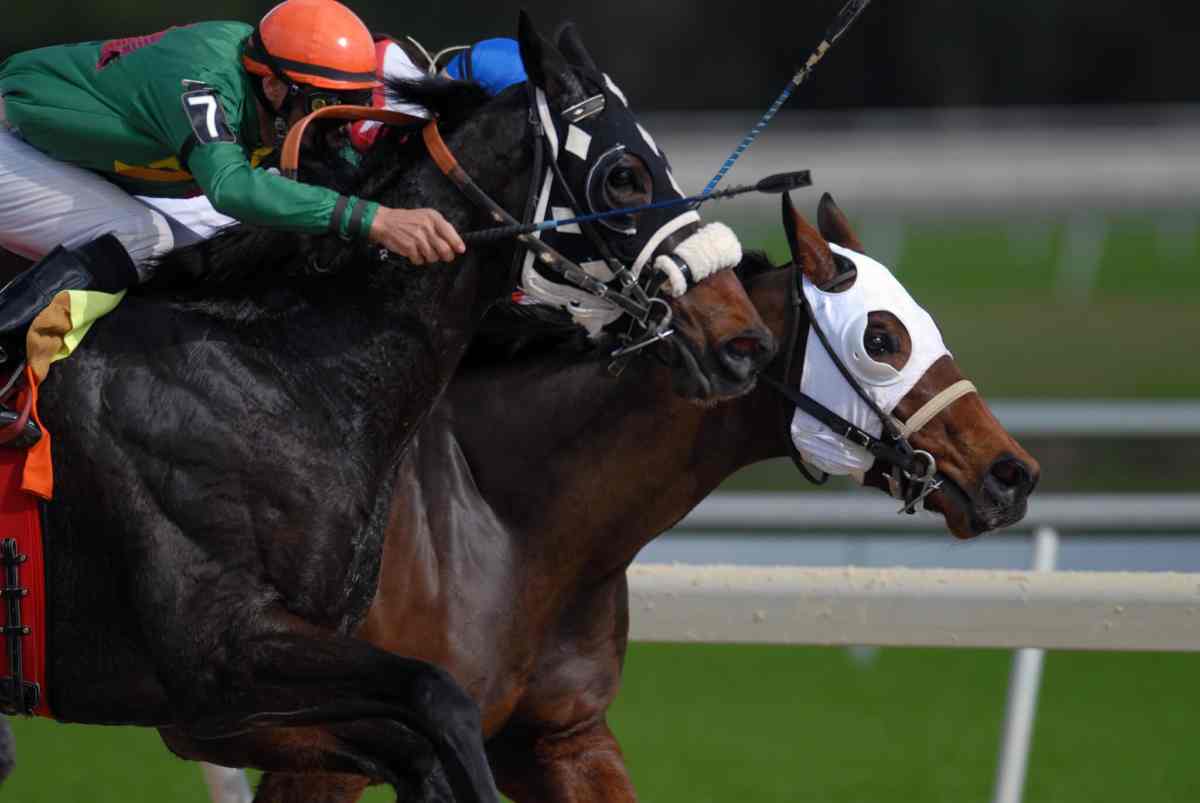 32 Insider Things To Do in Nairobi - 2024 20 Ngong Horse Racing Nairobi
