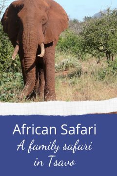 African safari: a family safari in Tsavo 8 AfricanSafari A family safari in Tsavo