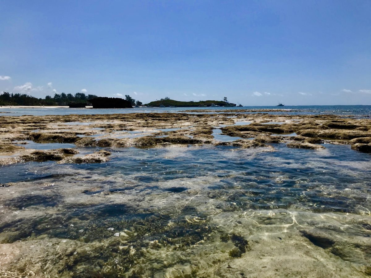 Watamu Beach Kenya - A Local's Travel Guide to Paradise 1 turtle bay beach watamu kenya