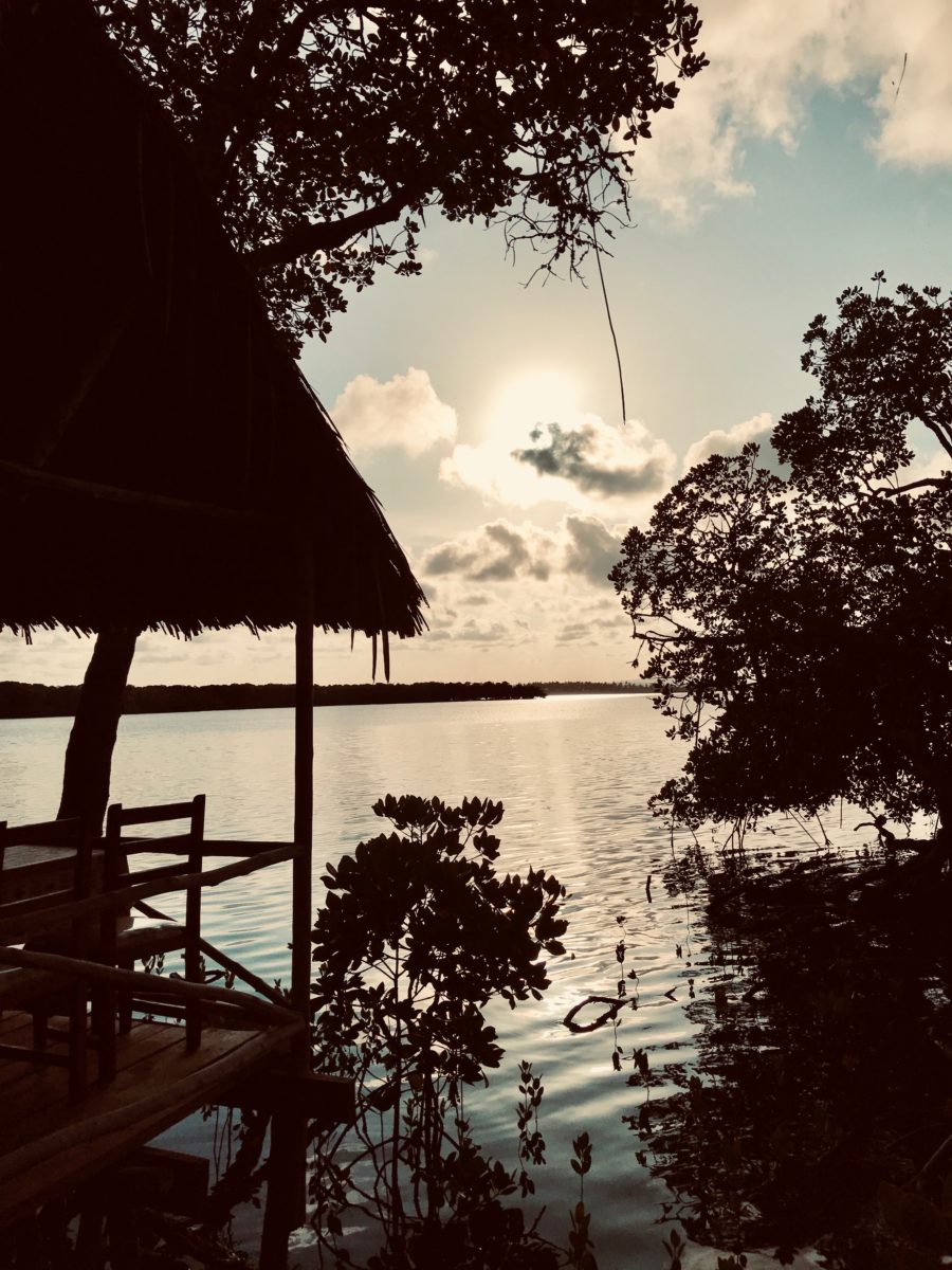 Watamu Beach Kenya - A Local's Travel Guide to Paradise 2 Mida creek Watamu beach Kenya