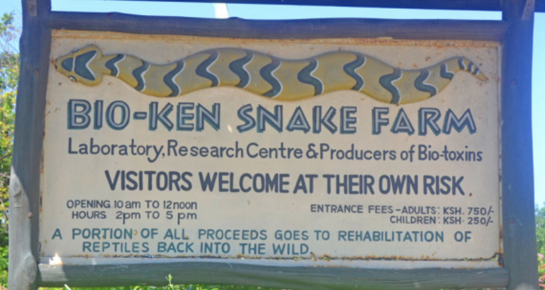 Watamu Beach Kenya - A Local's Travel Guide to Paradise 9 bio ken snake farm watamu