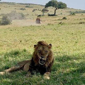 Maasai Mara 3 visit the maasai mara for under $150