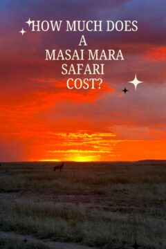 How much does a masai mara safari cost How much does a masai mara safari cost
