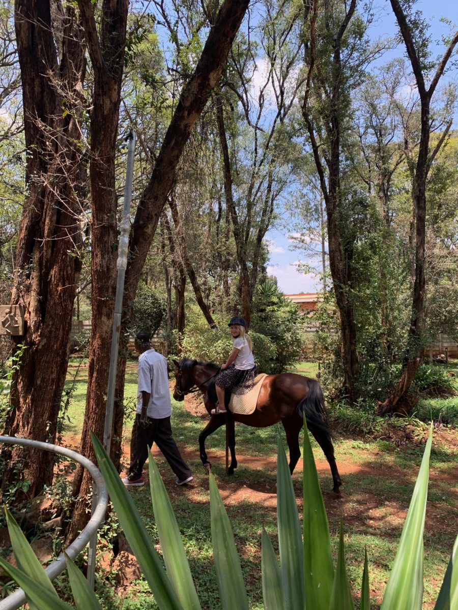 Bush Gardens restaurant, the Giraffe Centre 2 horse riding at bush gardens
