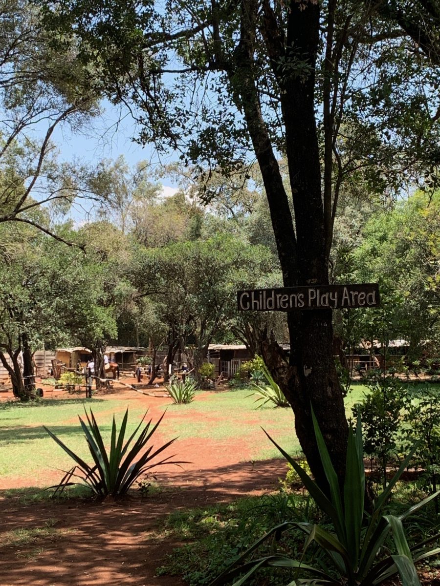Bush Gardens restaurant, the Giraffe Centre 4 Childrens playground at bush gardens