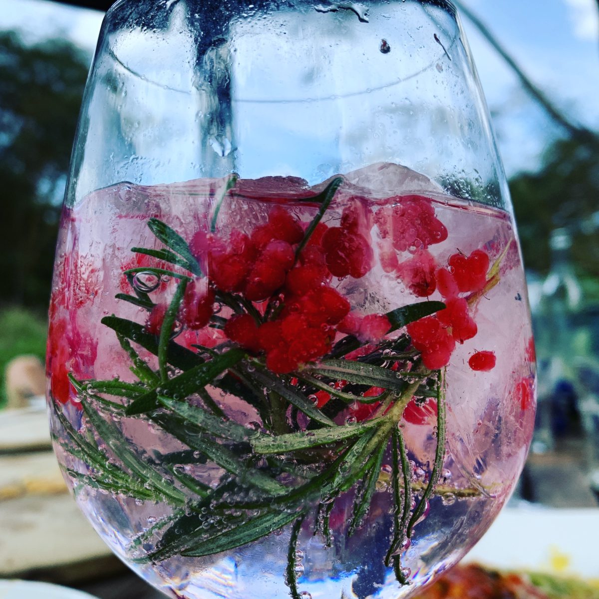 What to do at Naivasha Farmers Market 6 Camp Carnellys Rosemary and Raspberry gin and tonic