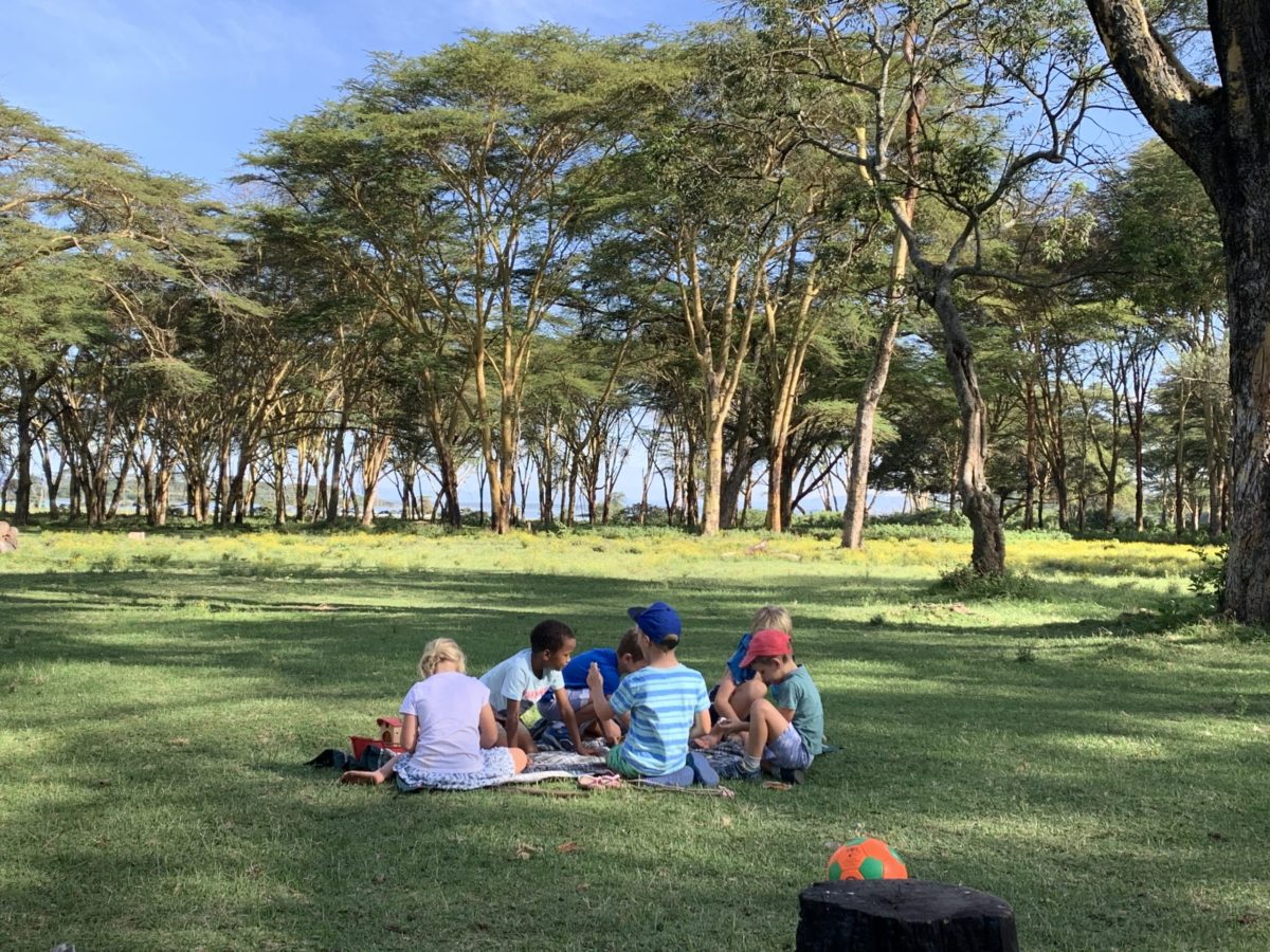 Sanctuary Farm Lake Naivasha 4 camping at sanctuary farm