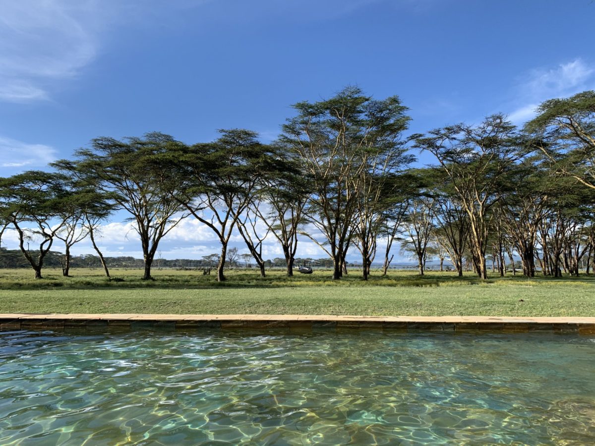 Sanctuary Farm Lake Naivasha 1 swimming pool sanctuary farm
