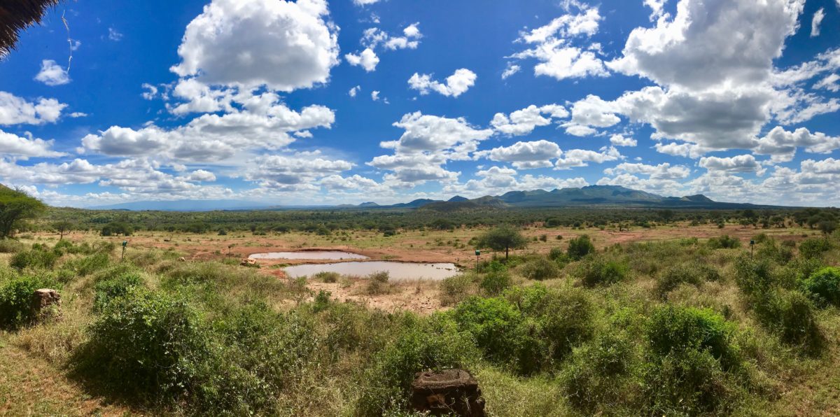 9 Amazing Things To Do in Tsavo National Park Kenya 1 9 Amazing Things To Do in Tsavo National Park Kenya