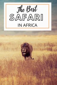 The best safari in Africa for wildlife 20 Barcelono 12 1