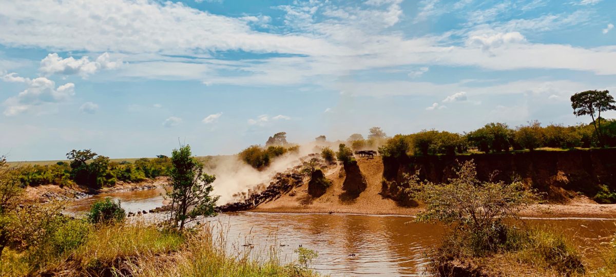 Kenya Travel Guidelines - What you need to know before you get here. 5 Maasai Mara migration Kenya