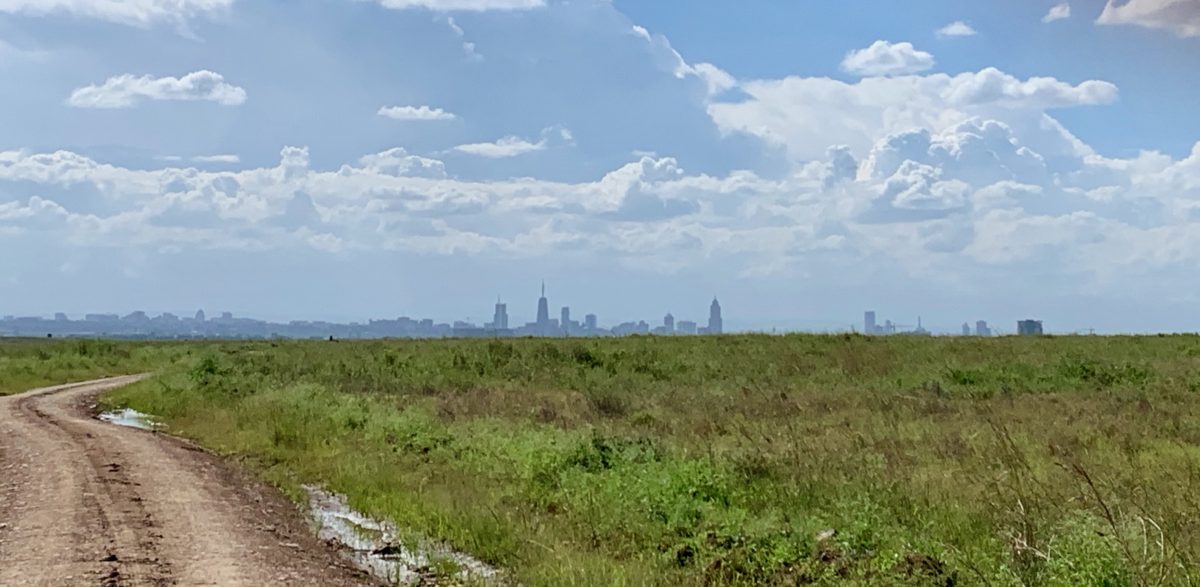 Nairobi National Park - The Ultimate Guide 2021 1 nairobi national park