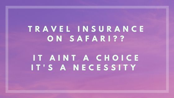 The best safari in Africa for wildlife 18 travel insurance on safari