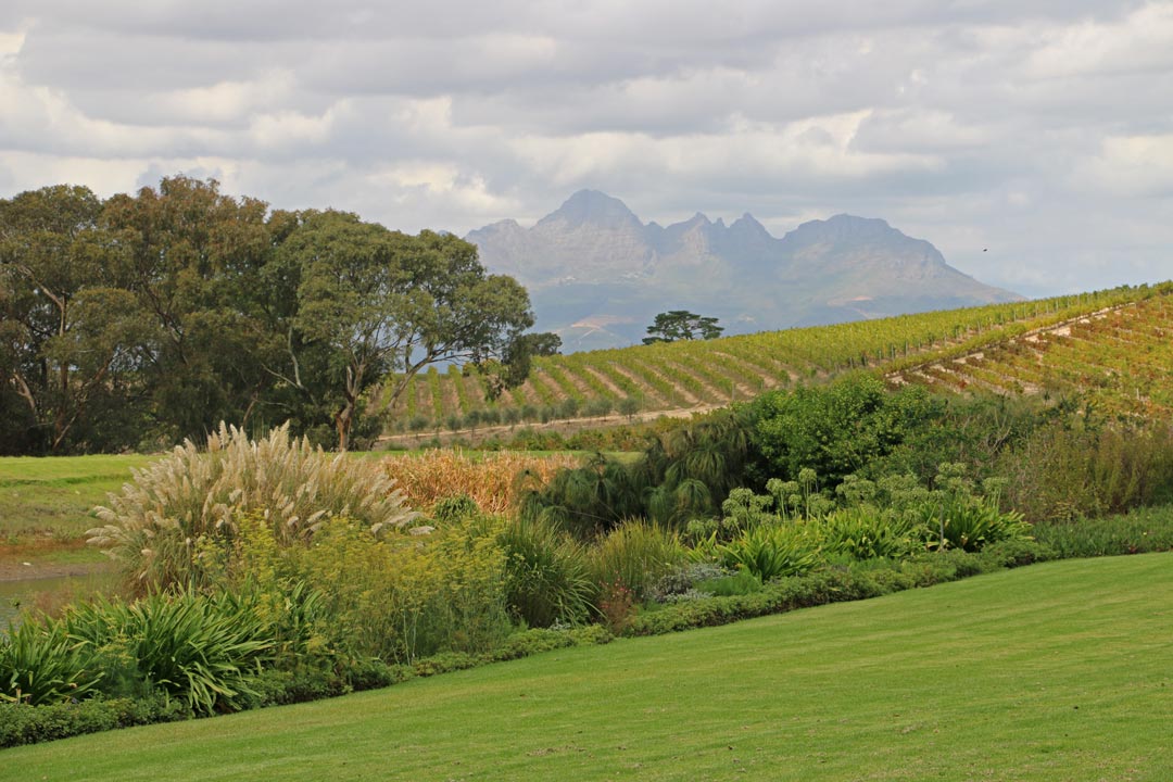 Eco Travel Africa - 12 Conservation Friendly Adventures 7 eco tourism in cape winelands
