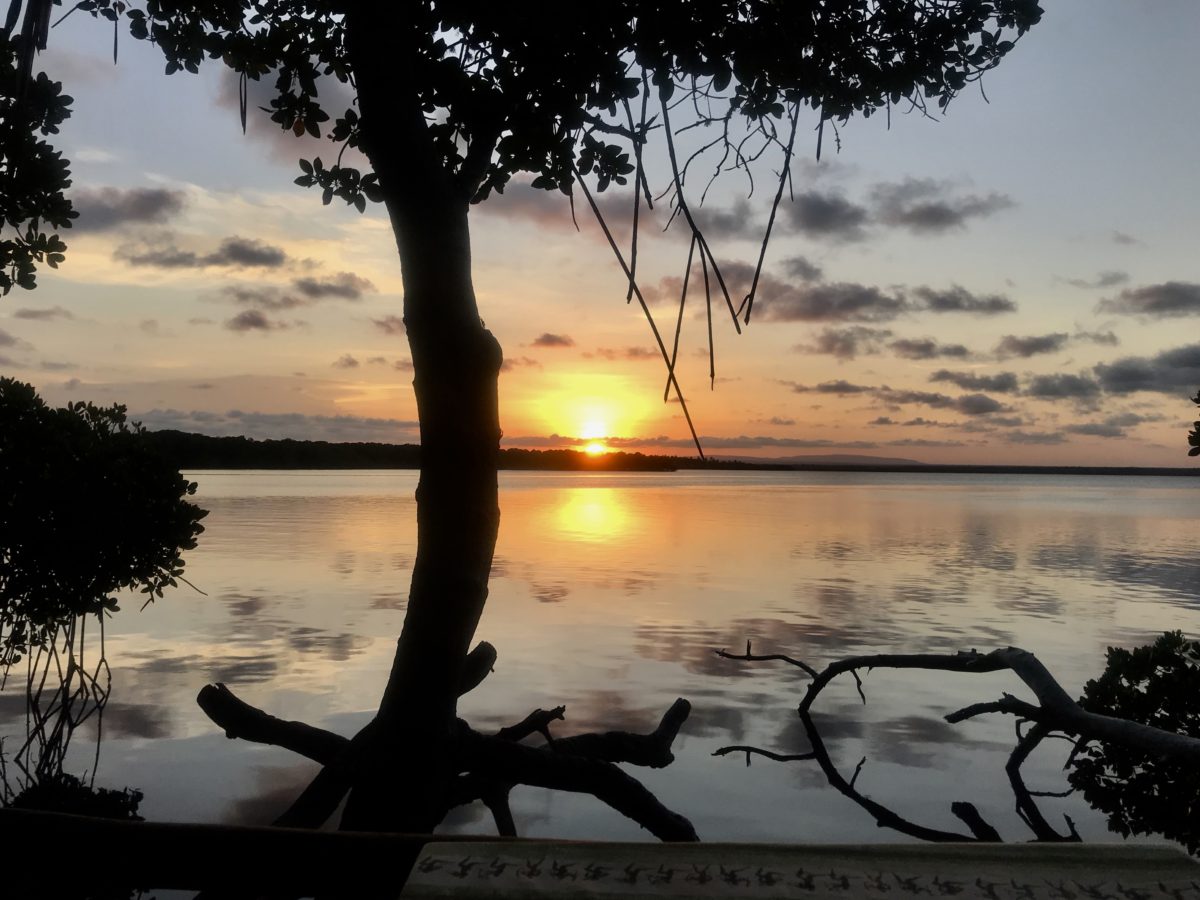 16 Incredible Watamu Hotels and Villas : Places to Stay in Watamu 1 Watamu Kenya