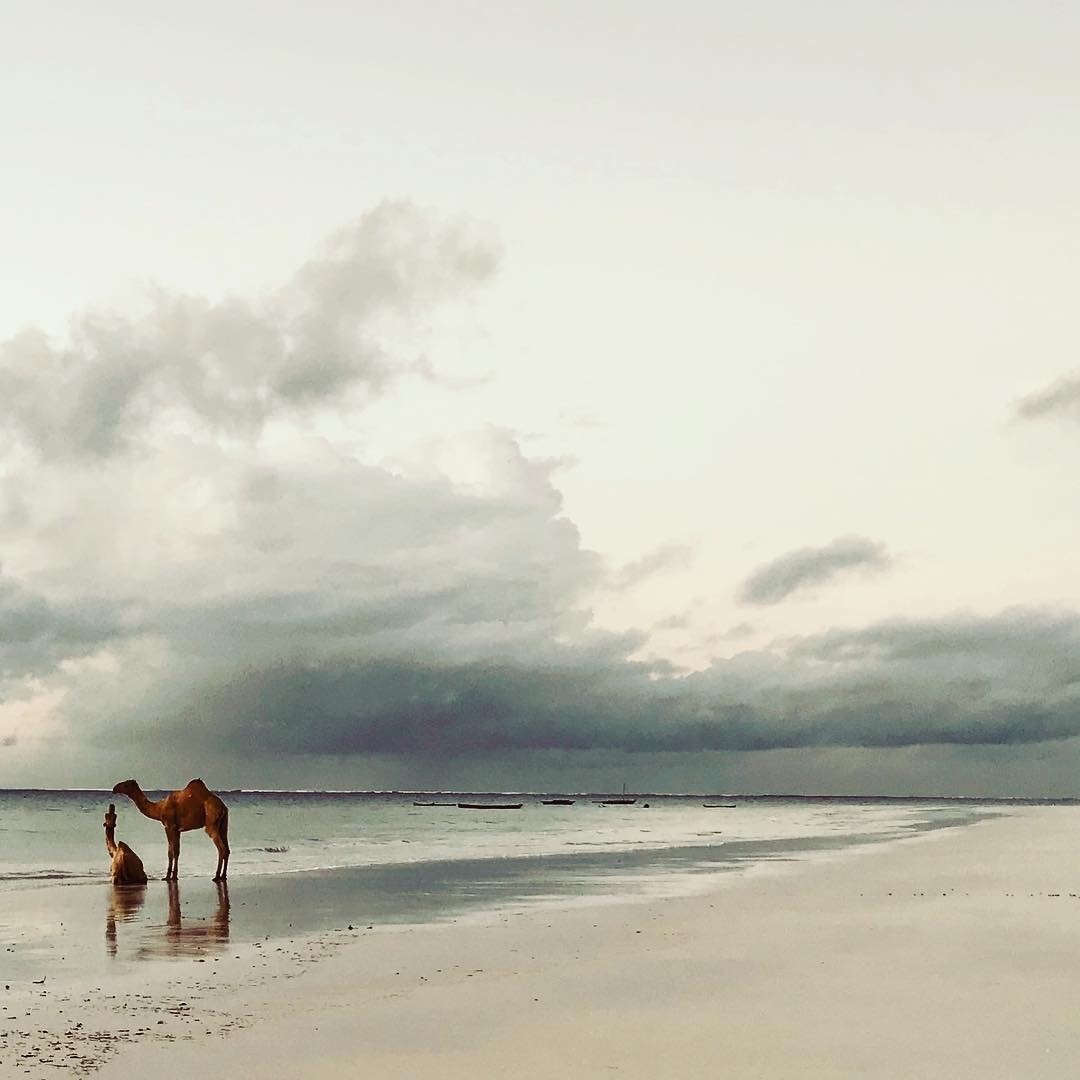 27 Inspiring Things To Do In Diani Beach 2024 4 travel kenya