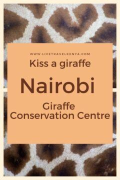 Where is the Giraffe Centre Nairobi Kenya? 6 giraffe centre nairobi