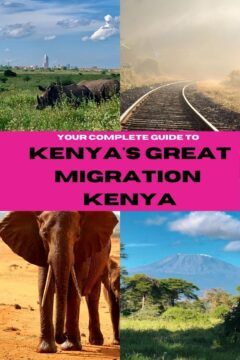 The animal migration Africa : the Maasai Mara wildebeest crossing 10 Beige Ice Cream Photo Recipe Pinterest Graphic 8