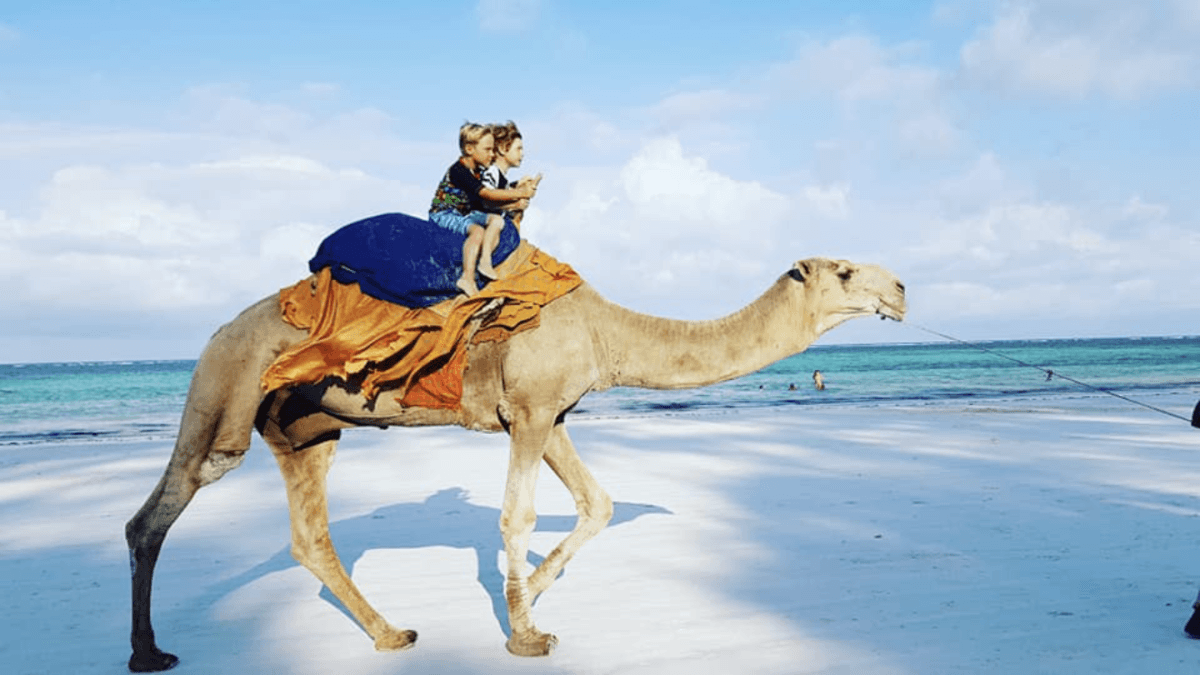 6 Unbelievable Hotels in Diani Beach Kenya 2024 2 diani beach kenya