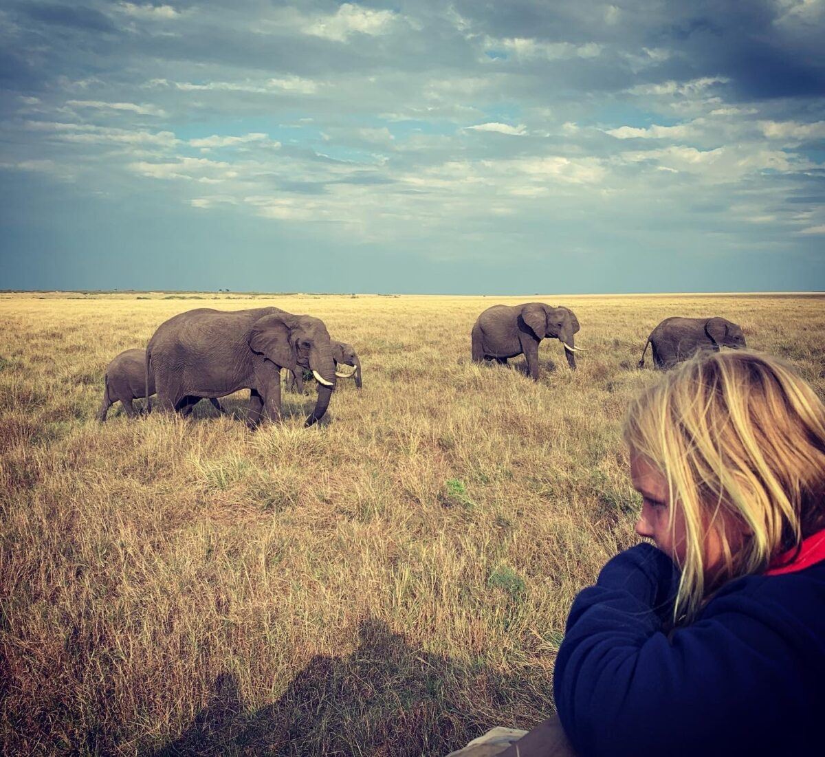 Finding Fulfillment in the Everyday 2 masai mara kenya