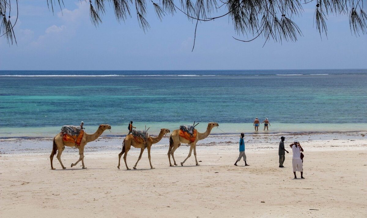 How to find the Best Hotel in Mombasa 16 DIANI BEACH KENYA