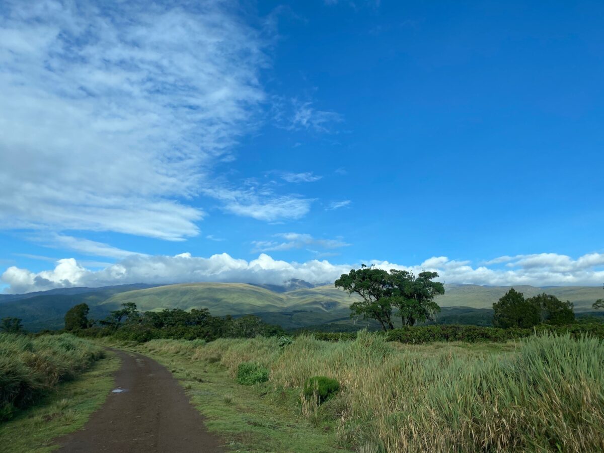 Fly Fishing in Mount Kenya National Park 1 fishing on mount kenya