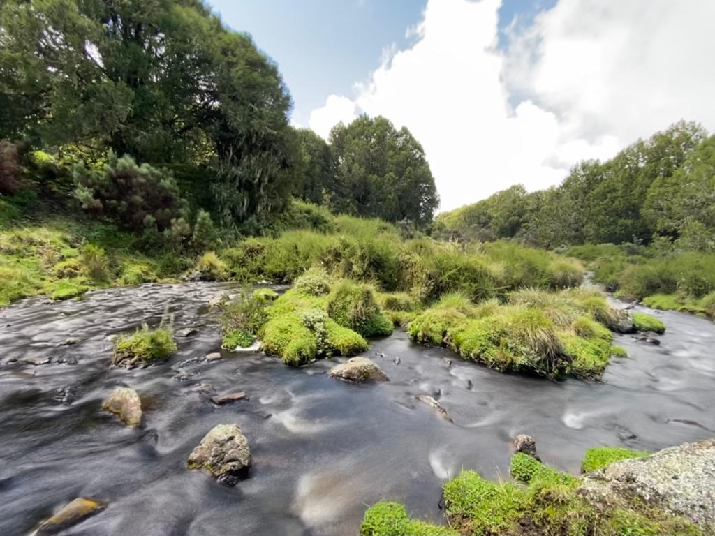 Fly Fishing in Mount Kenya National Park 12 Fly fishing in kenya