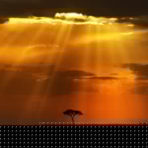 Watamu 15 Top Tourist Attractions Kenya