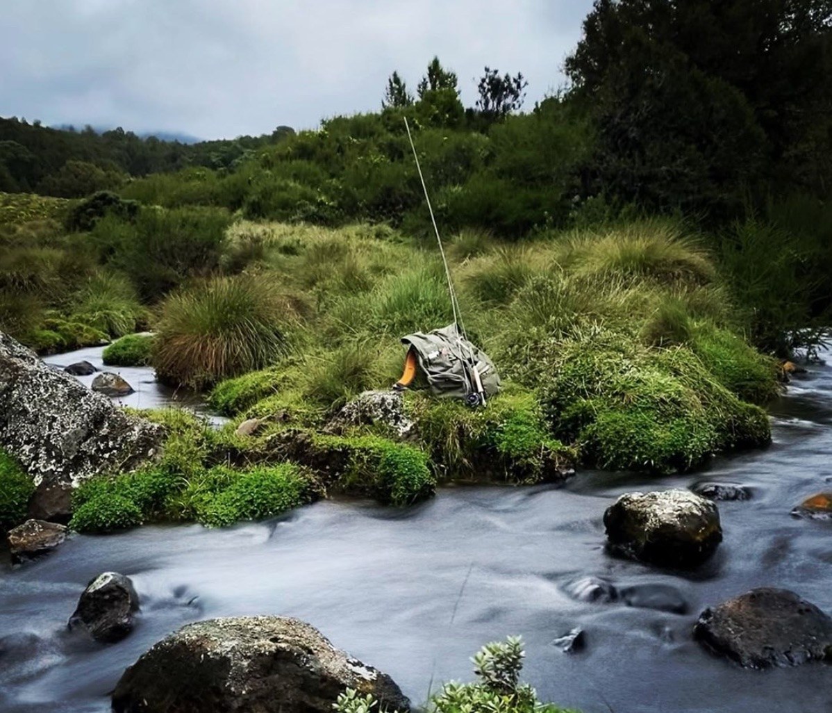 Fly Fishing in Mount Kenya National Park 2 mount kenya national park fishing