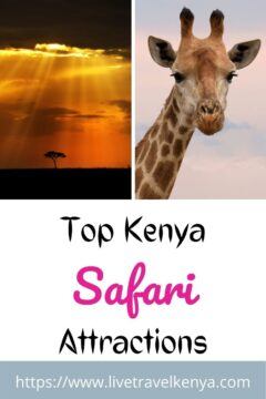 10 Top Tourist Attractions in Kenya 12 kenya attractions
