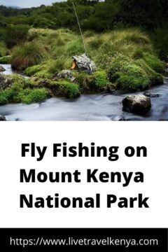 Fly Fishing in Mount Kenya National Park 16 mount kenya 1