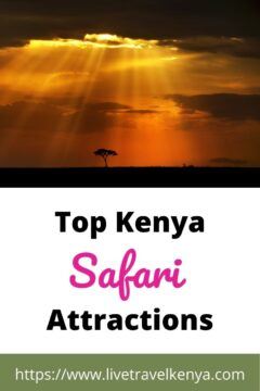 10 Top Tourist Attractions in Kenya 13 top kenya attractions