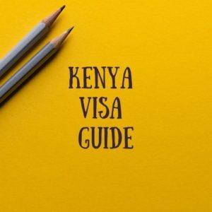 The Expat Mummy 18 Kenya evisa
