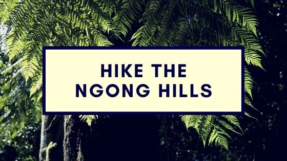 Champagne Ridge Kenya - a day trip or weekend break 7 Hike the Ngong Hills