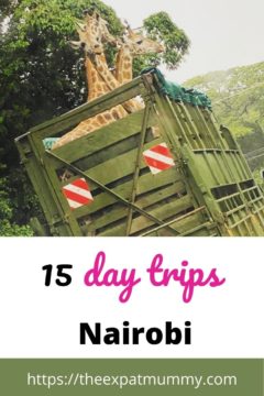 15 Best day trips from Nairobi 16 Beige Ice Cream Photo Recipe Pinterest Graphic 10