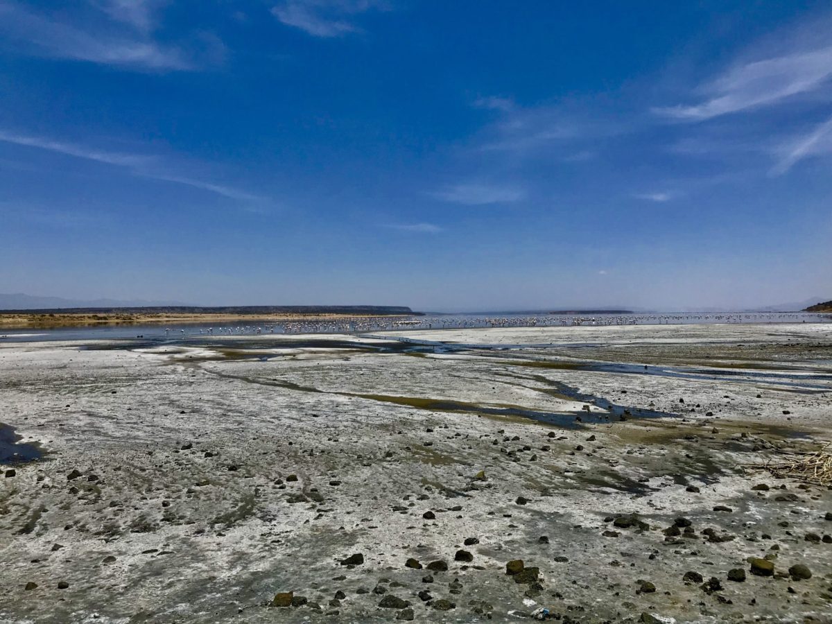 15 Best day trips from Nairobi 7 Lake magadi nairobi day trip