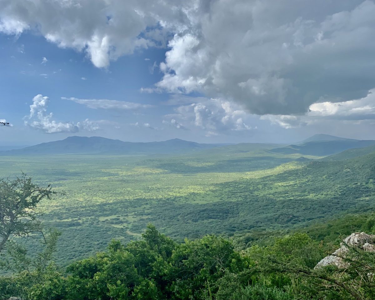 15 Best day trips from Nairobi 8 champagne ridge day trips from nairobi
