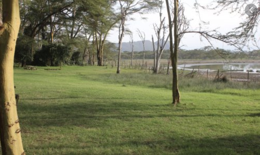 Lake Elementaita Camping - 5 Best Campsites 2024 8 Oasis Eco camp lake elementaita