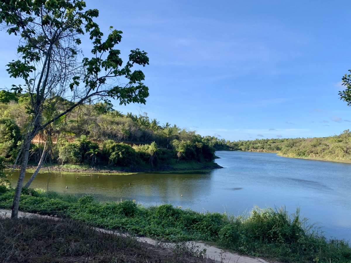 Vipingo Ridge Kenya: all you need to know 4 Vipingo Ridge Dam