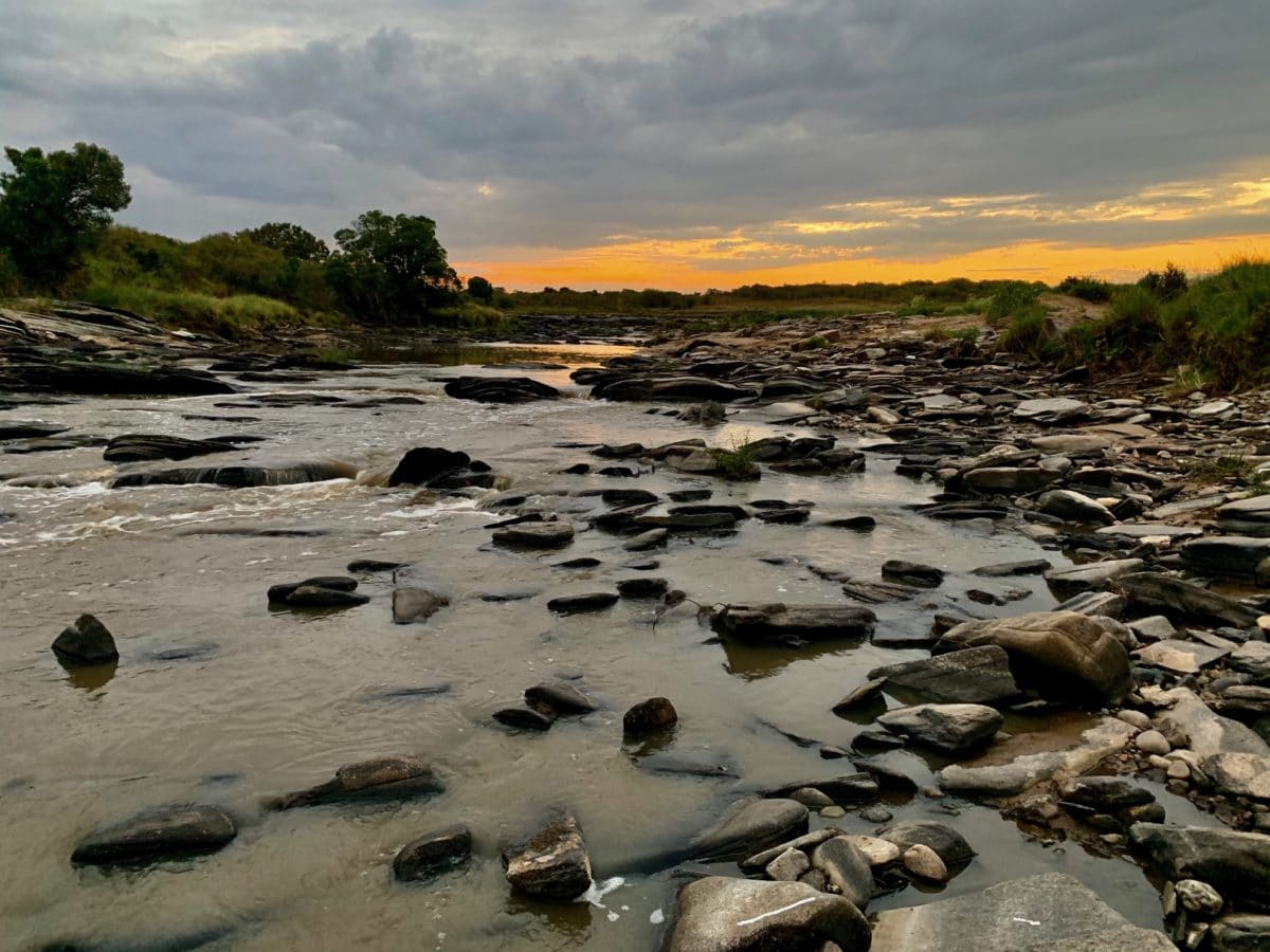 A Kenya safari – what can you expect? 4 maasai mara safari
