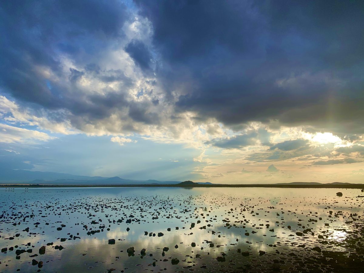 A Kenya safari – what can you expect? 2 expat kenya safari